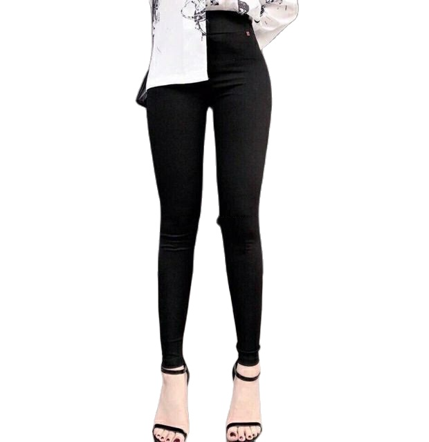 Quần legging GC