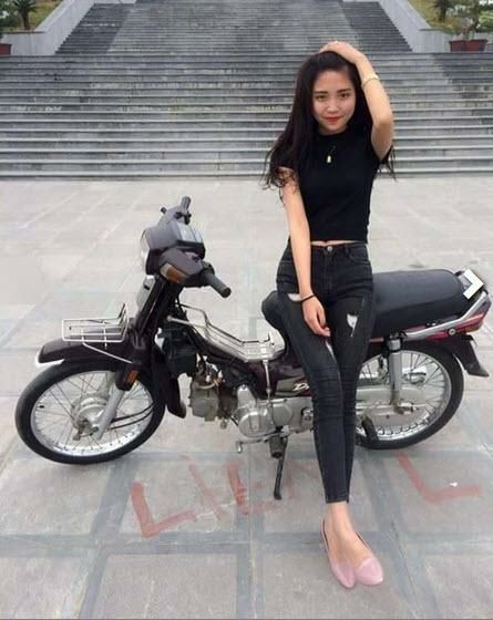 ốp hậu dream trắng / nắp đèn