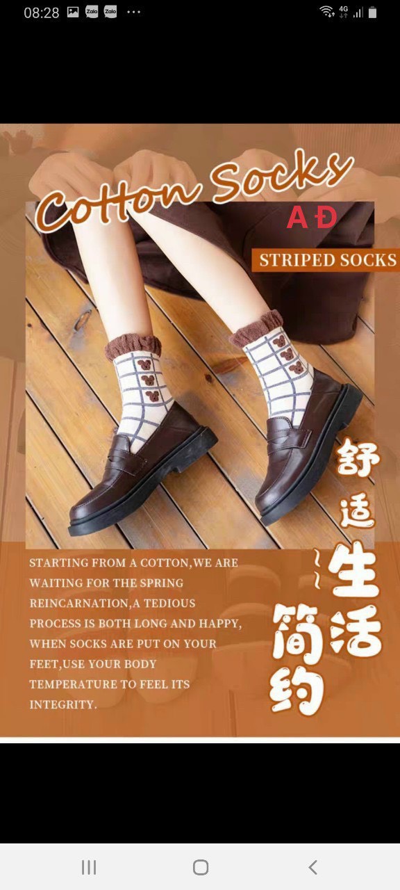 Set 8 Đôi Tất Nữ Hàn Quốc Vintage Siêu Xinh