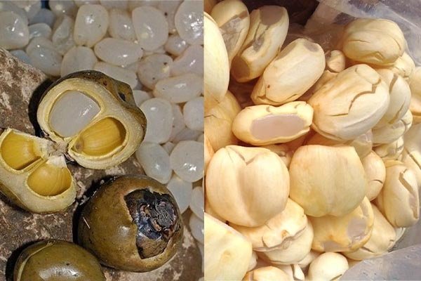500g Thốt Nốt Sấy Dẻo
