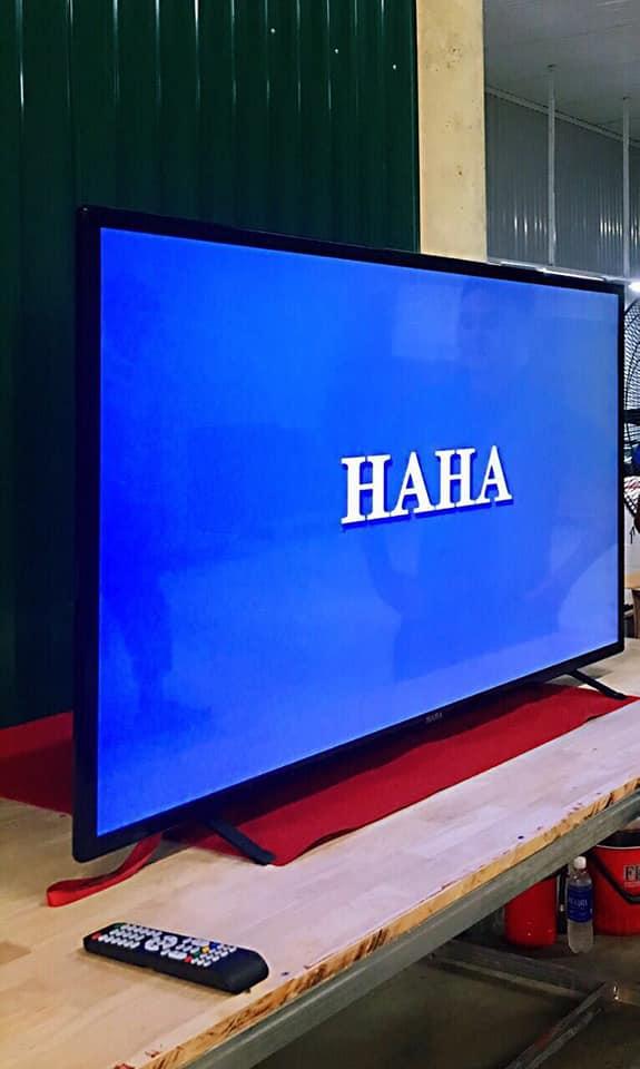 tivi cường lực haha 65 inch