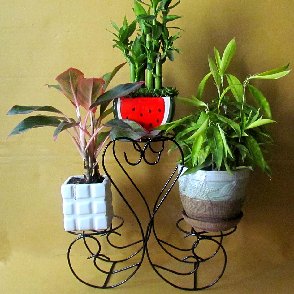 Gía đỡ chậu cây mini
