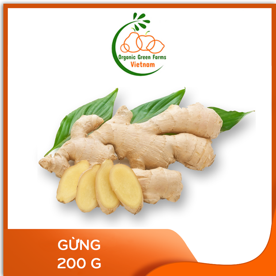 [OGF] - Gừng (200 g) - [Giao nhanh TPHCM]