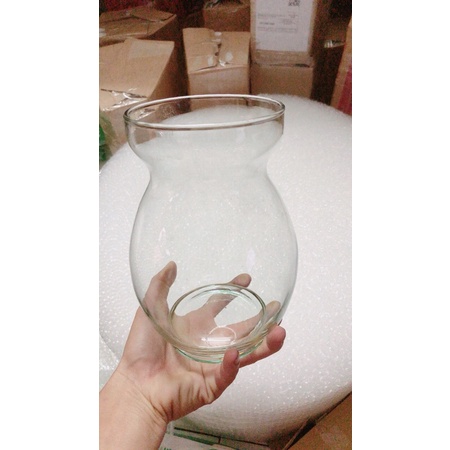 Chậu Thuỷ Tinh Trồng Thuỷ Sinh