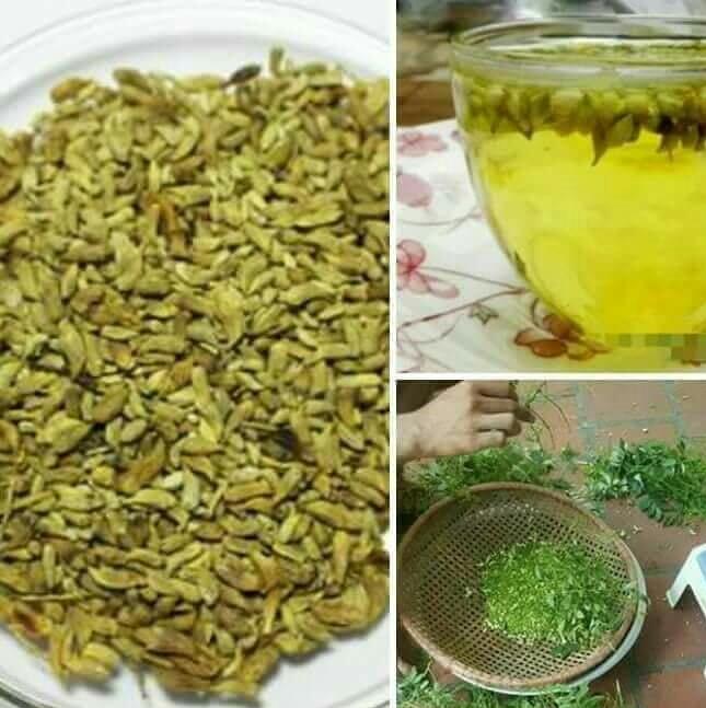 hoa hòe 1kg