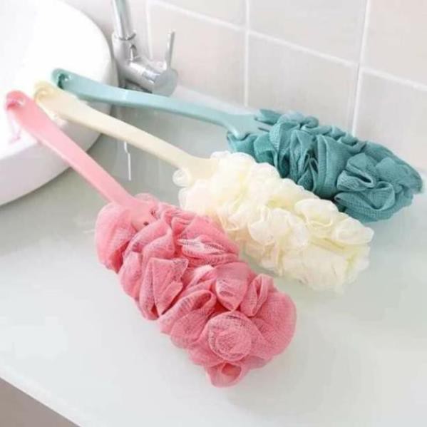 CỌ LƯNG BÔNG TẮM h12