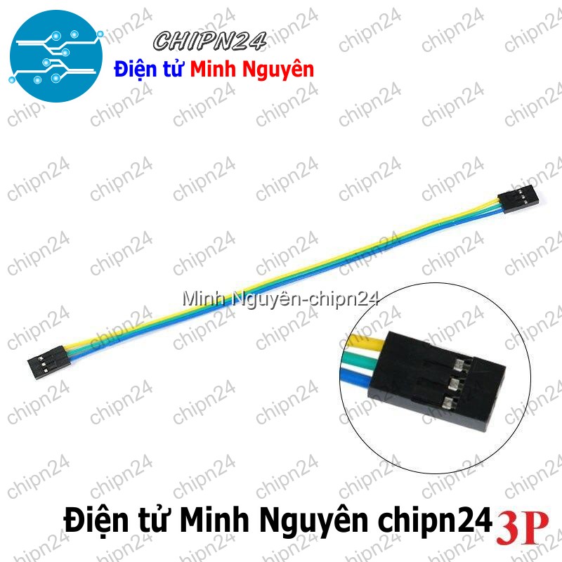 [2 sợi] (D119) Dây bẹ màu 2.54mm 3p 20cm