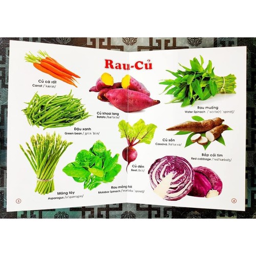 Từ Điển bằng tranh Rau Củ Quả