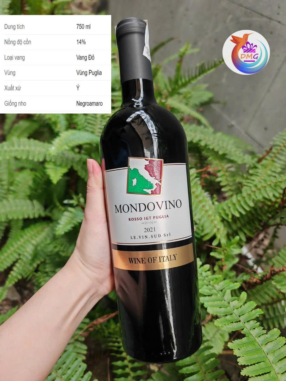 [NHẬP KHẨU] VANG ĐỎ (Ý) MONDOVINO– 750ML (14%) – DMG WINE
