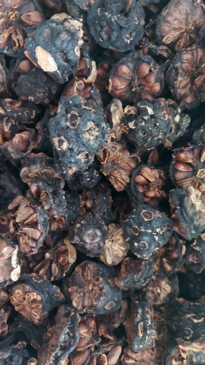 Trái nhàu tươi sấy khô ( túi zip 300 g)