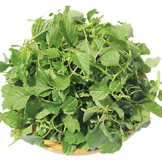 Hạt Giống Rau Dền Cơm (10gr)