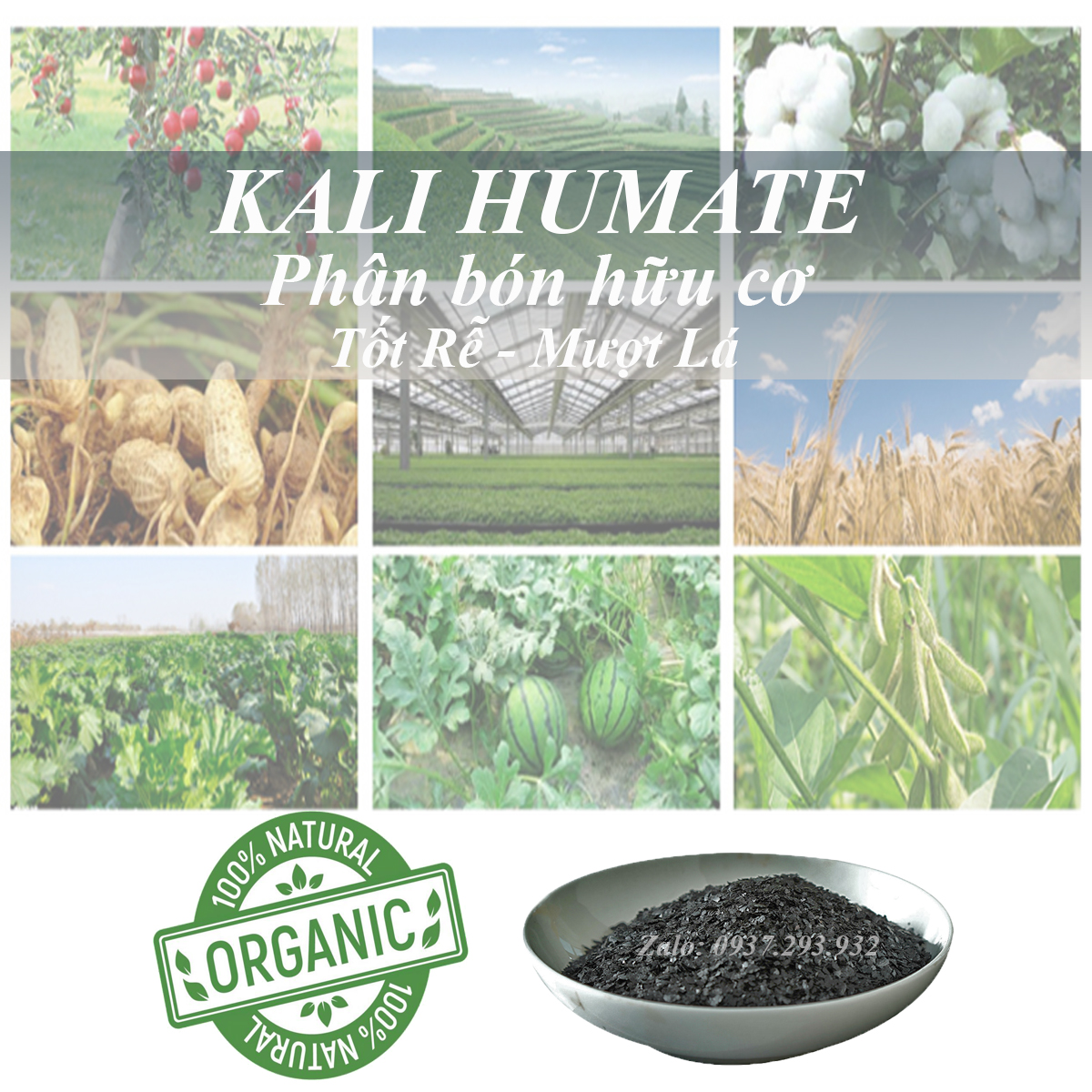 Phân Bón Hữu Cơ - Kali Humate - Kích Rễ Cải Tạo Đất