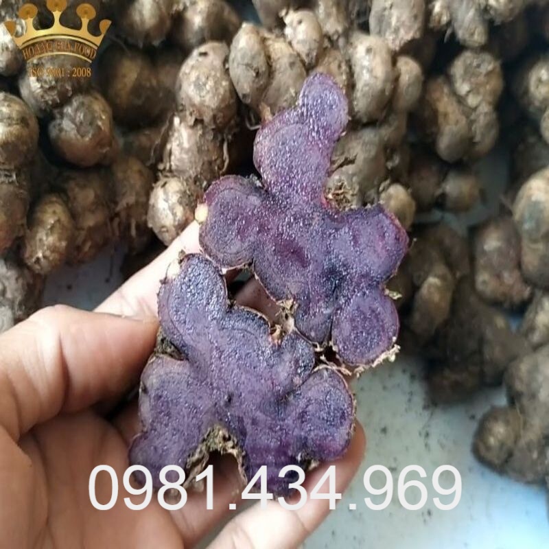 Gừng Đen (ngải đen) Tươi 01KG (Black Ginger) Sạch
