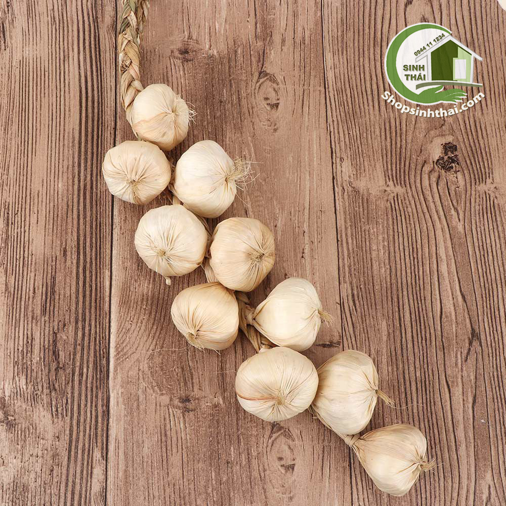 Dây củ tỏi giả - trái cây củ quả giả cao cấp