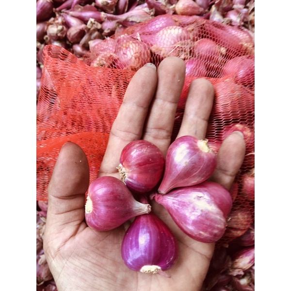 hành tím lý sơn / hành tím vĩnh châu 1kg