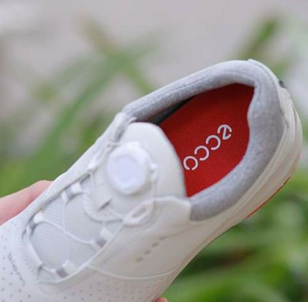 Giày Ecco Golf Biom Hybrid 3 núm vặn - Ecco : mvp skt