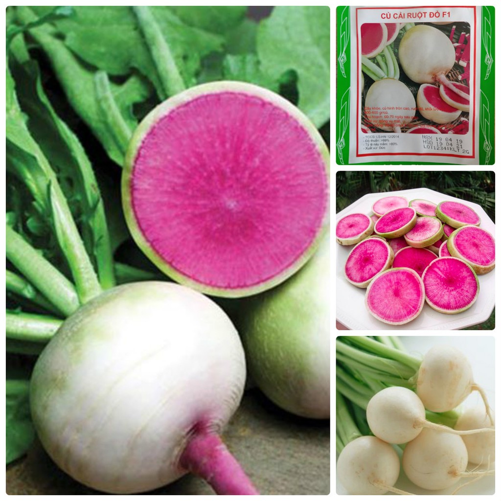 Hạt giống củ cải trắng ruột đỏ - gói 2gram