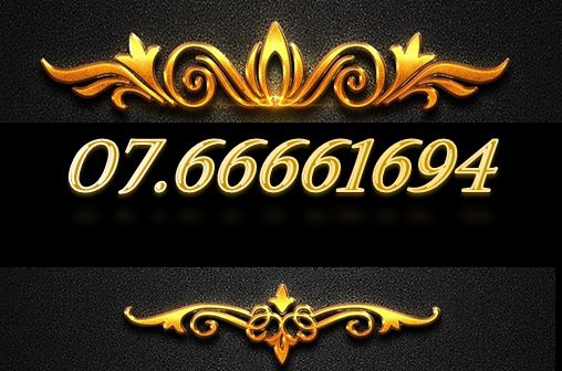 SIM TỨ QUÝ NĂM SINH 07.66661694
