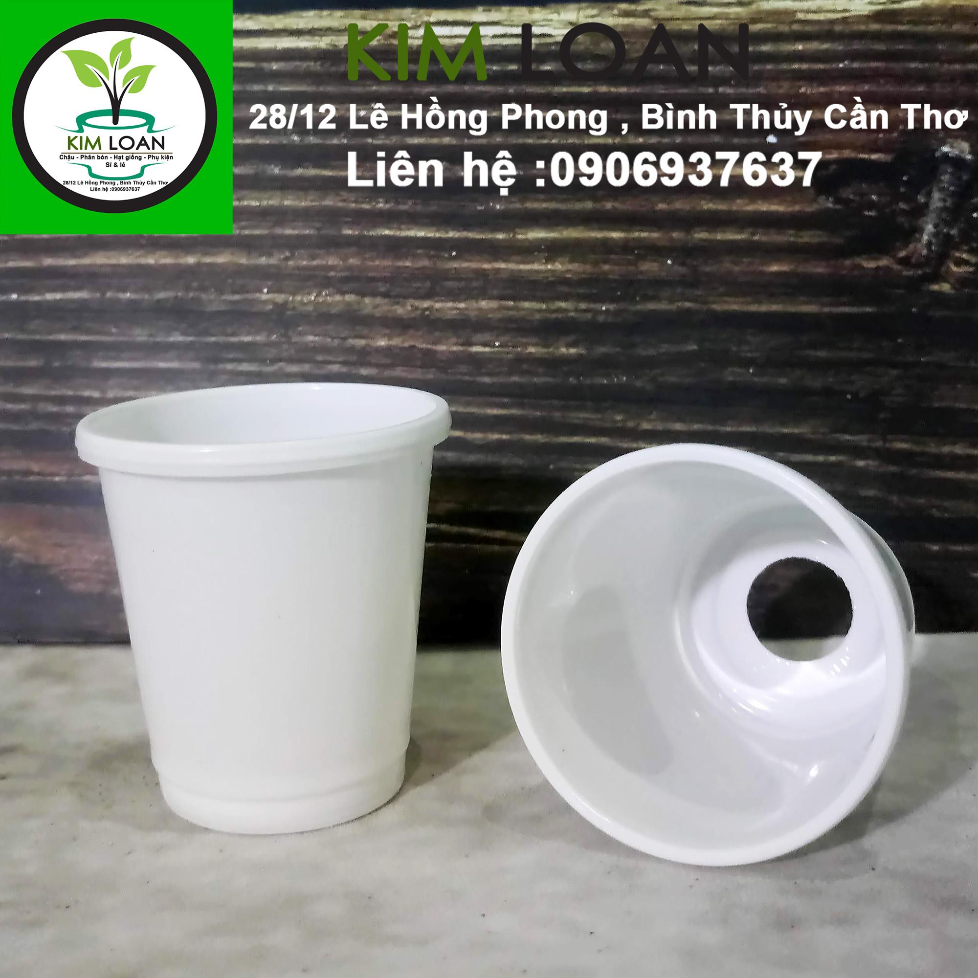 Combo 100 chậu nhựa tròn ươm cây 6x6cm