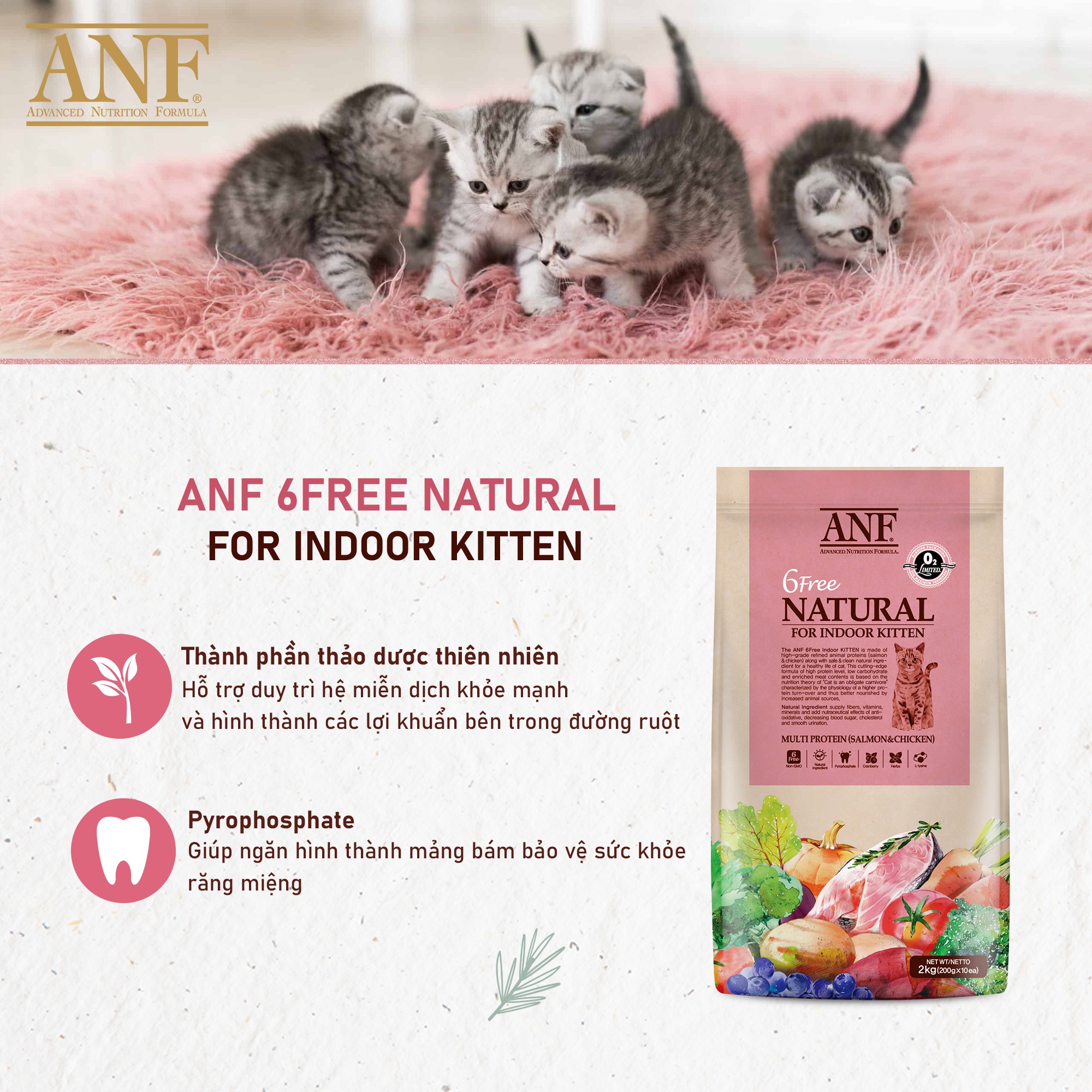 [6kg] THỨC ĂN HẠT CHO MÈO CON ANF 6 FREE INDOOR KITTEN