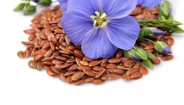 Dầu lanh sơn gỗ, dầu lanh thô 1 lít