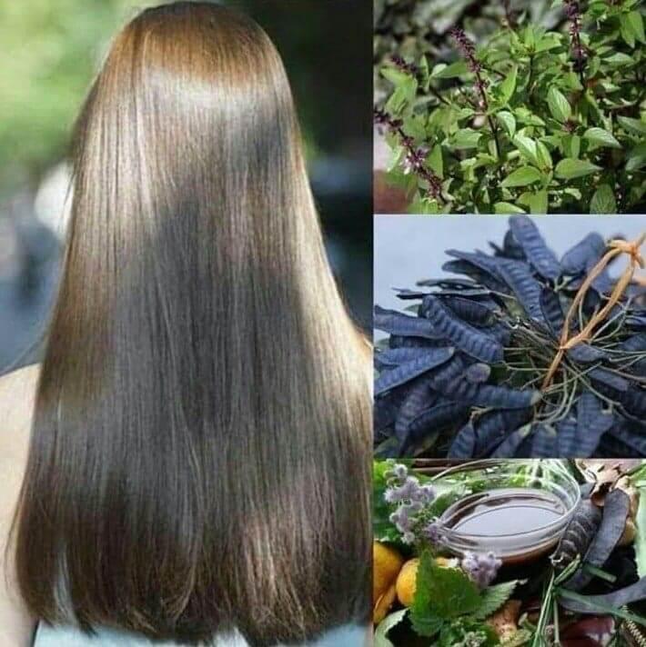 DẦU GỘI THẢO DƯỢC THANH MỘC HƯƠNG Mẫu Mới