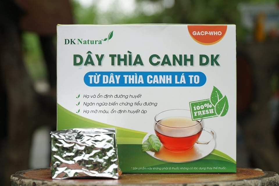 Dây thìa canh lá to - hộp trà túi lọc