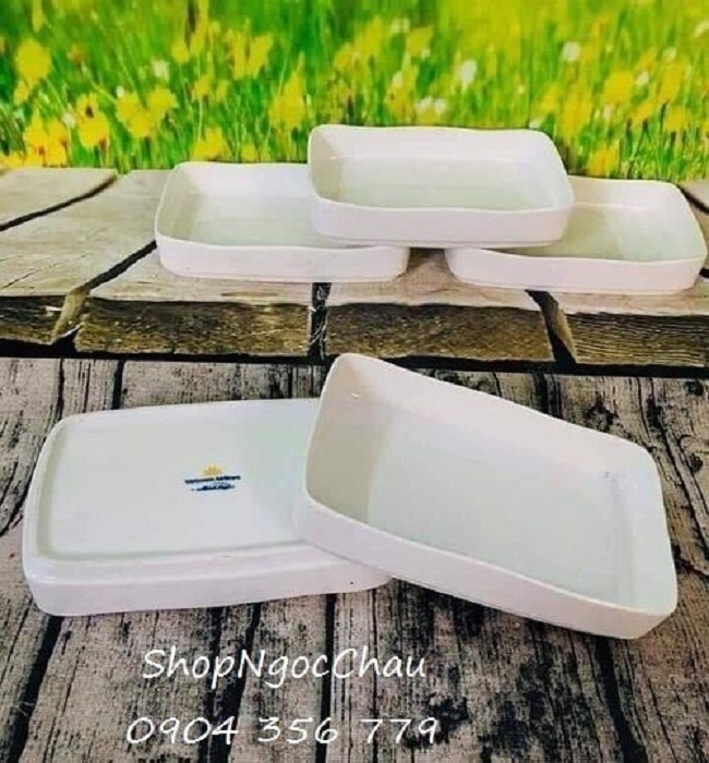 Đĩa sứ Minh Long sâu lòng VNA