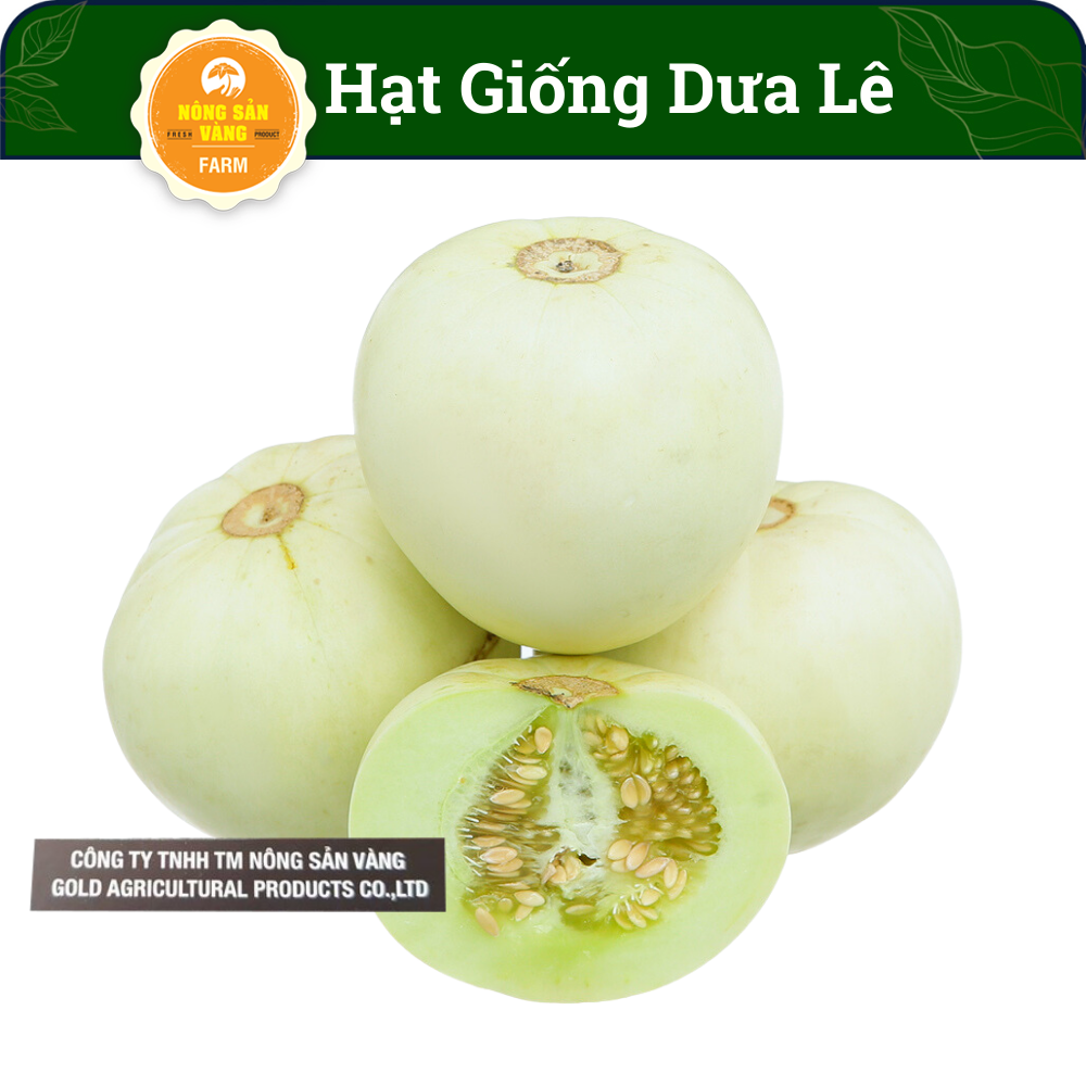 Muskmelon seeds super sweet, high germination, rich nutritional value (pack 15 seeds)-shallow gold
