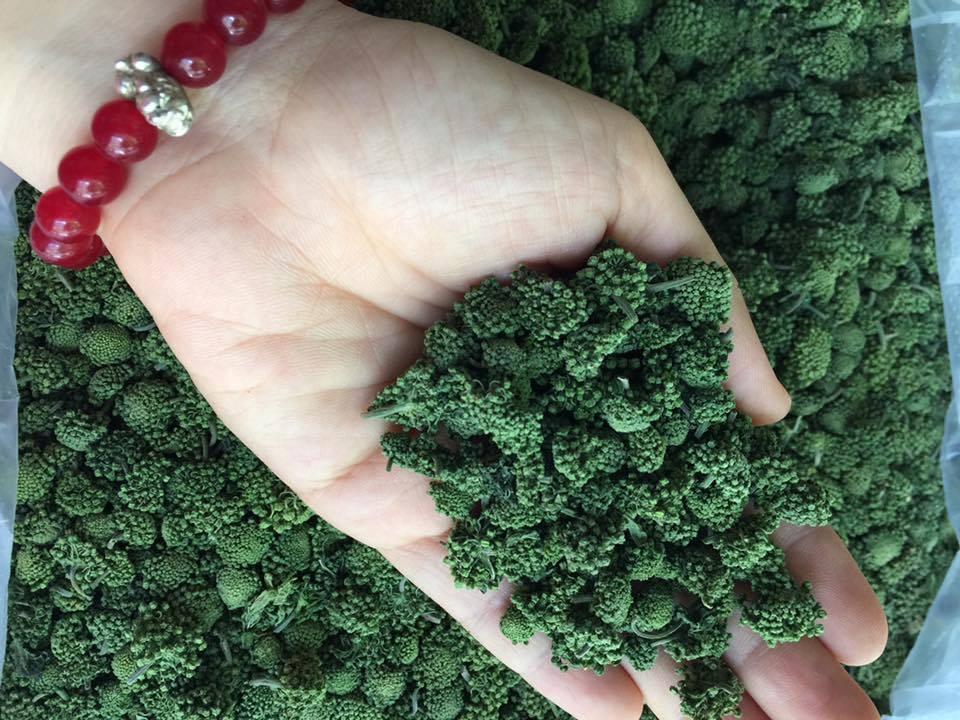 200g Nụ tam thất - Hoa tam thất
