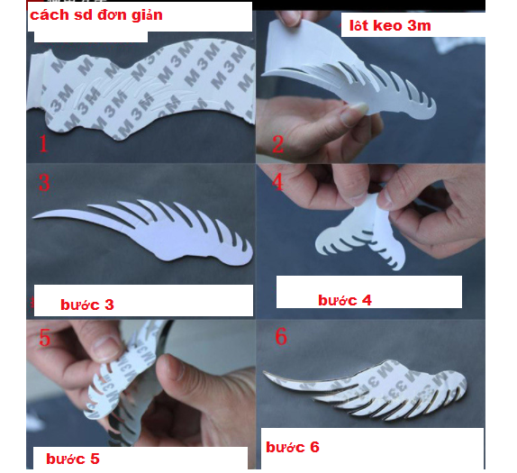 Logo dán xe ô tô cánh chim đại bàng