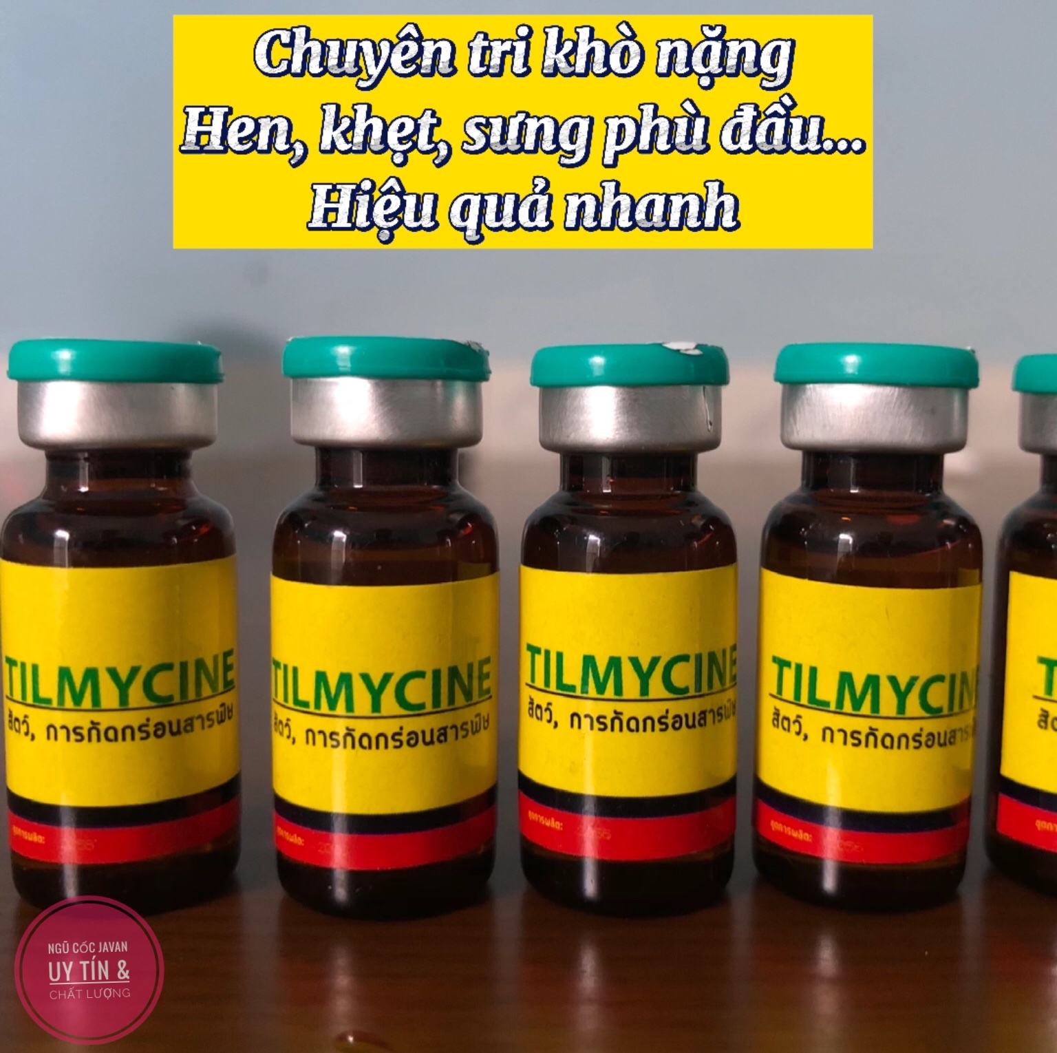 Tilmycine khò khè, khẹt, sổ mũi, sưng phù đầu