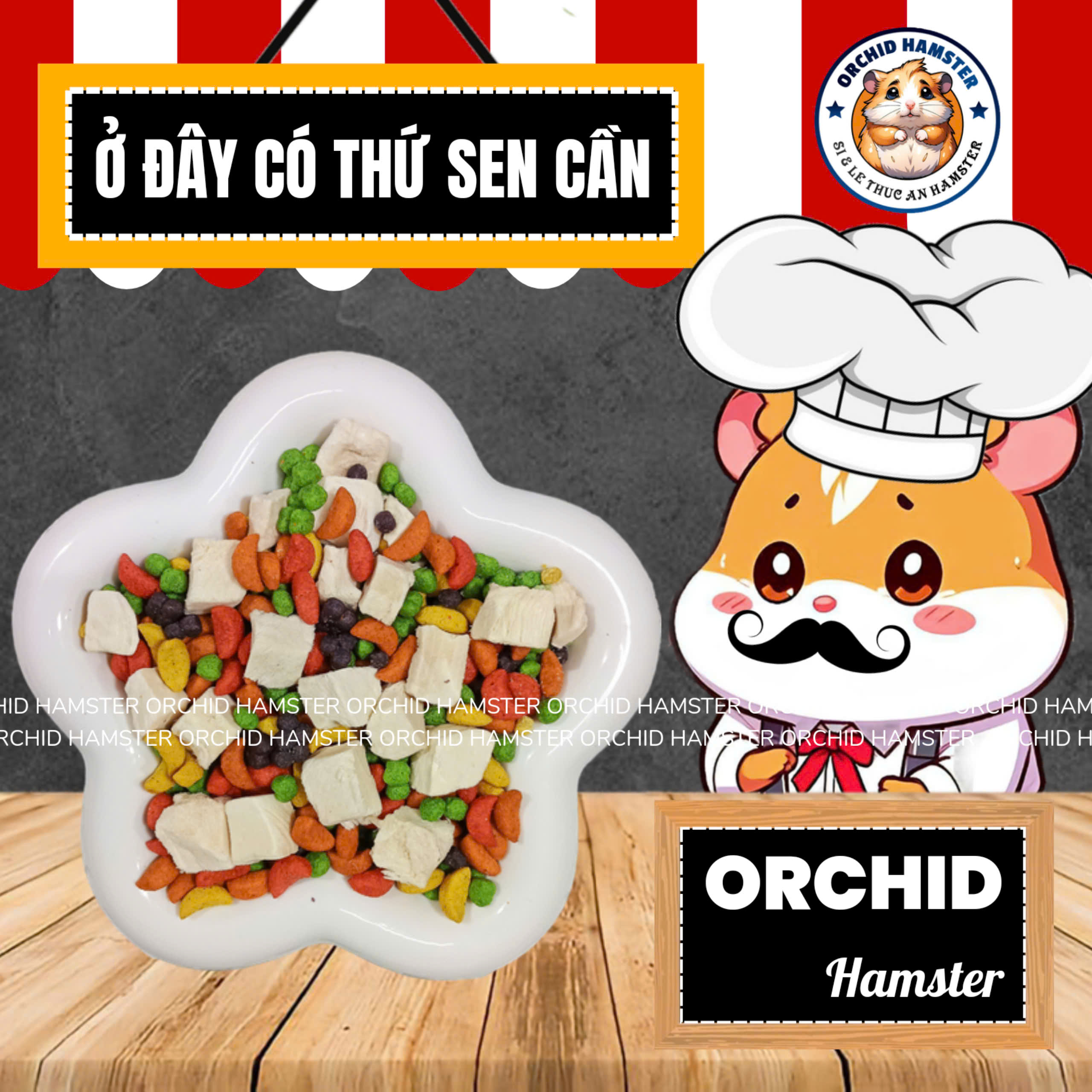 Thức Ăn Hamster Kaytee Mix Gà Dành Cho Hamster/Sóc/Bọ Và Thú Cưng