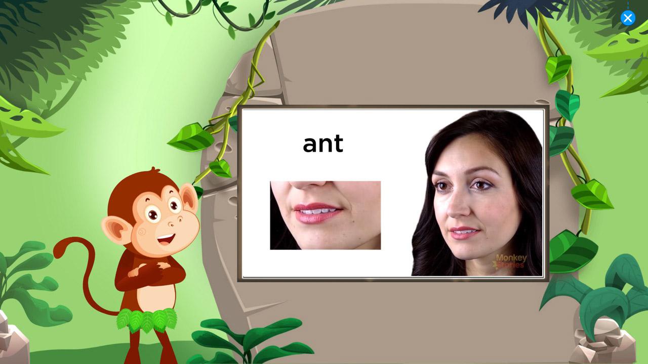 Monkey stories 1 năm