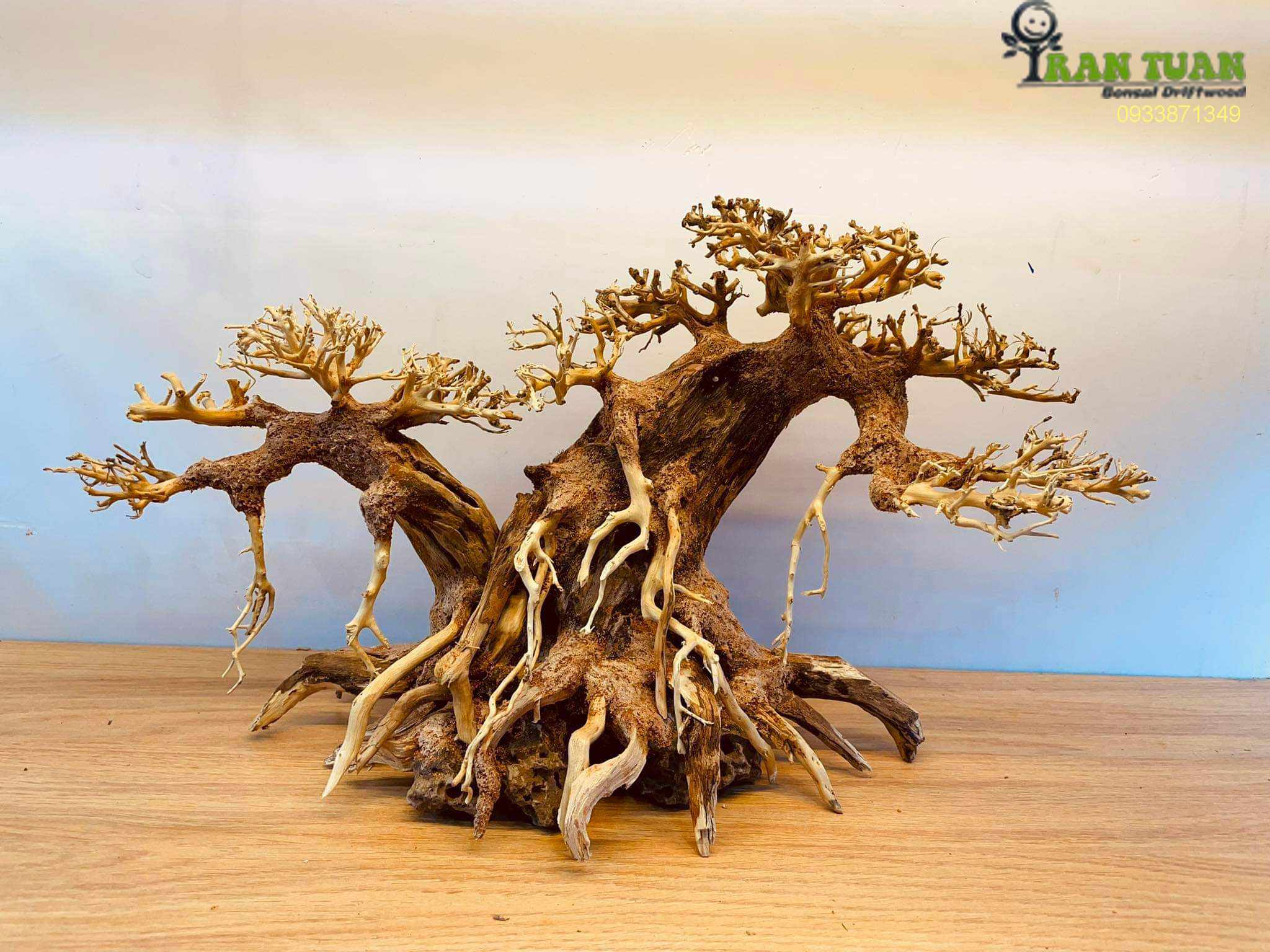 Cây gỗ lũa bonsai hai thân ( Dùng cho hồ cá cảnh, hồ thủy sinh)