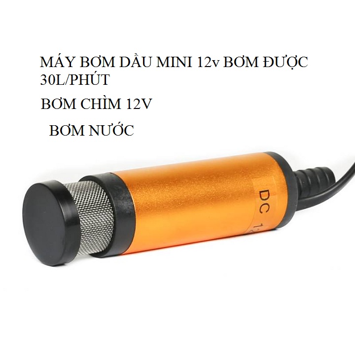 bơm chìm hút xăng dầu 12v - 30l/phút