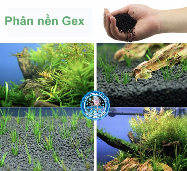 Gex xanh - Phân Nền Thủy Sinh - 4kg