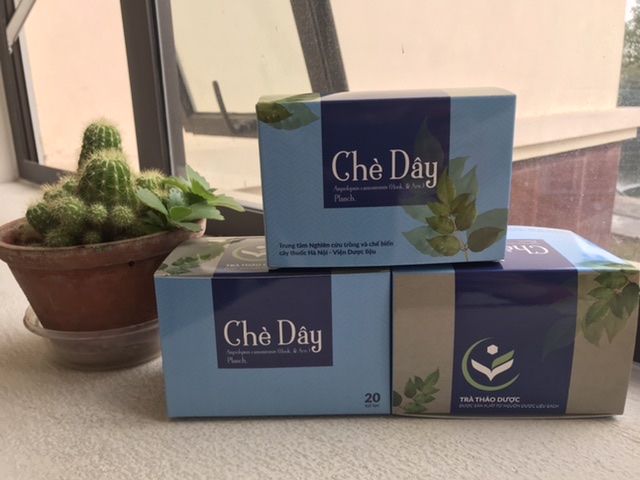 Trà túi lọc chè dây