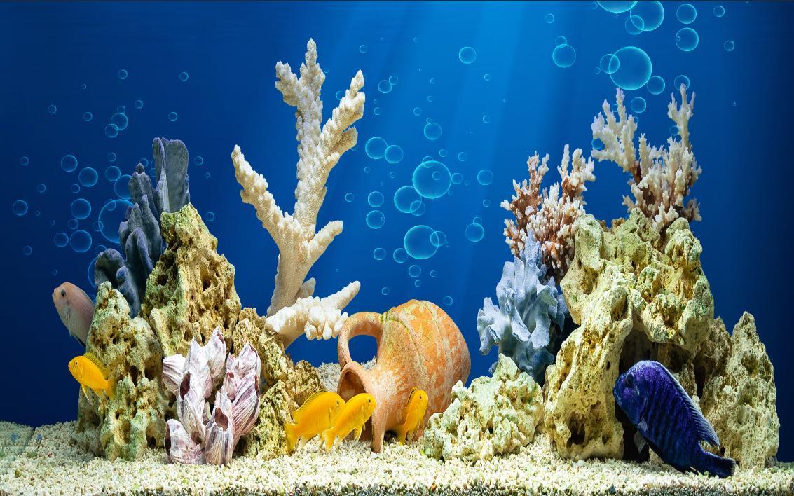 Tranh phông nền VTC dán hồ cá, bể thủy sinh Aqua_038 KT 80 x 50 cm