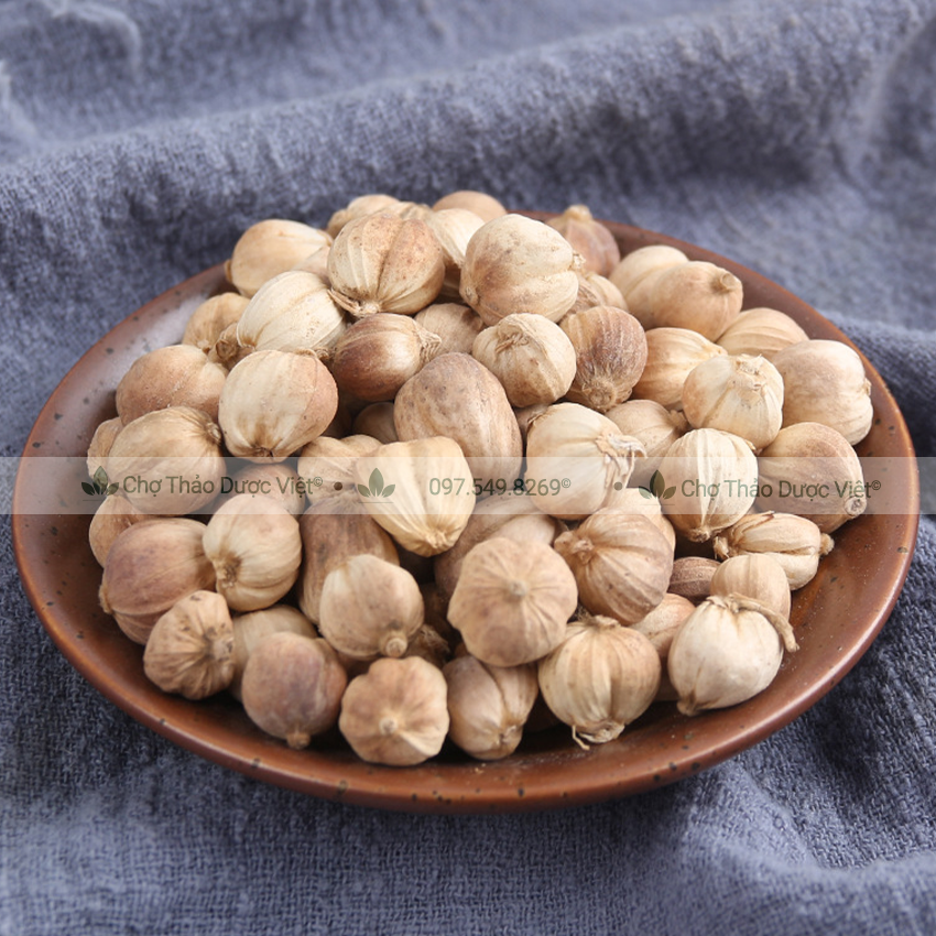 Bạch đậu khấu khô 500g, đậu khấu trắng cay, thơm, gia vị nấu ăn, nấu phở, lẩu cay Tứ Xuyên