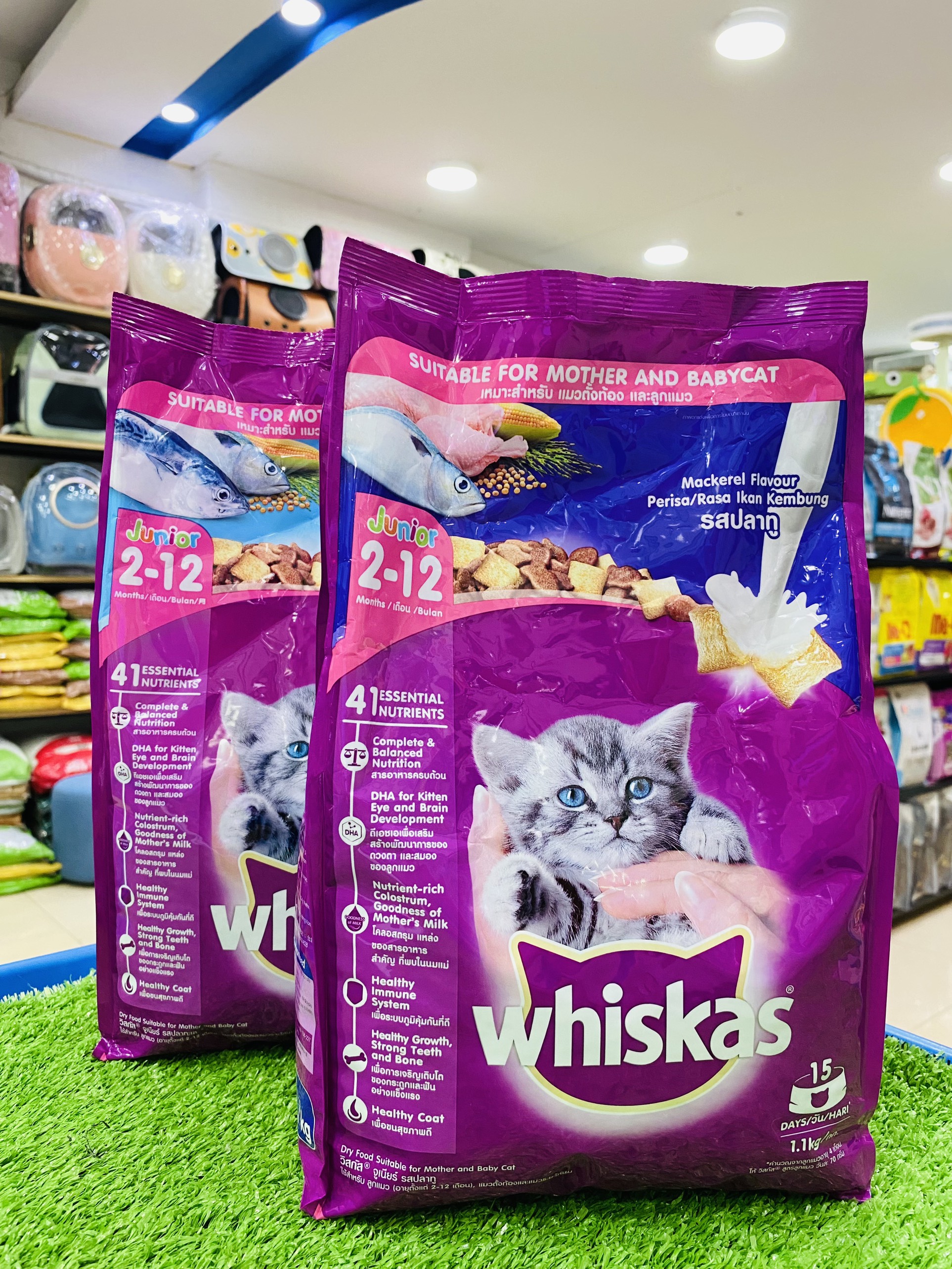 Thức ăn hạt Whiskas Junior cho mèo con dưới 12 tháng tuổi