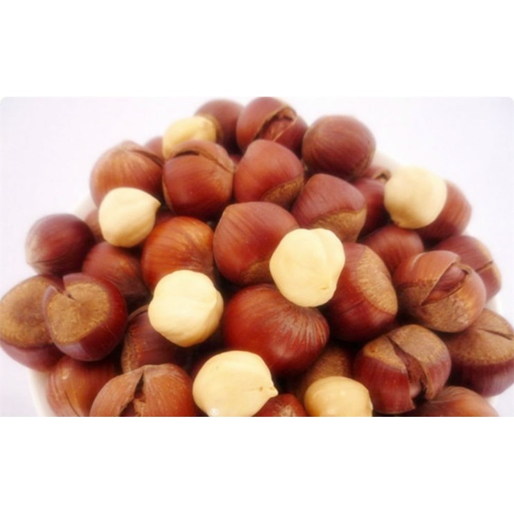 🌰 NHÂN QUẢ PHỈ NGUYÊN HẠT CÒN VỎ LỤA – HAZELNUT NHẬP KHẨU THỔ NHĨ KỲ 1KG 🌰