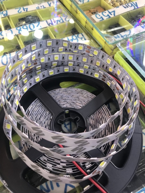 Led quận 5050 24v 5m