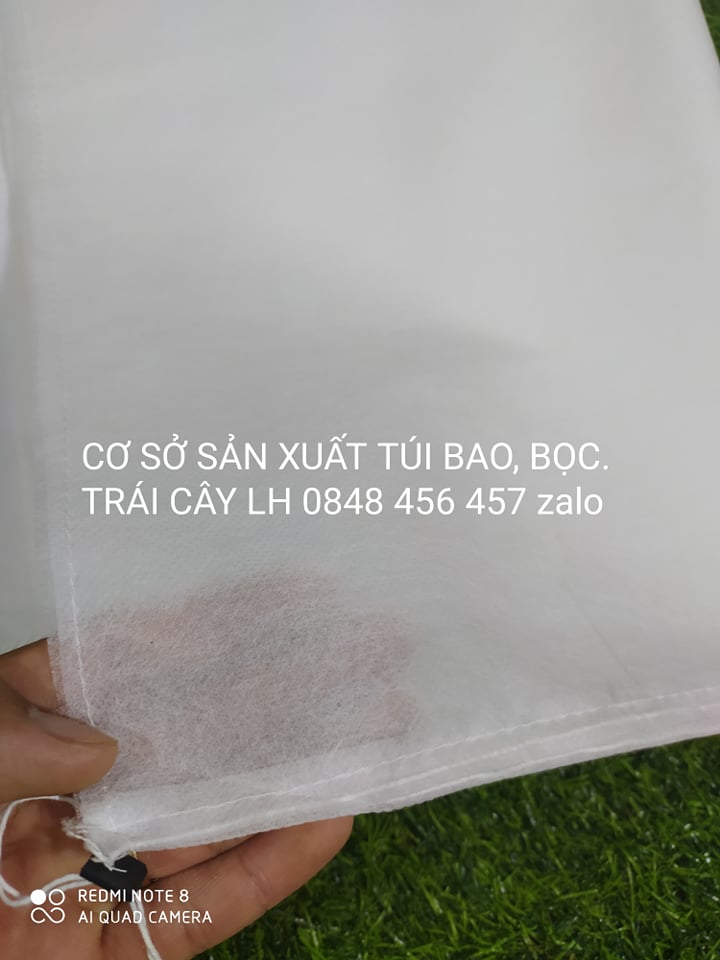 100 CÁI TÚI BAO,BỌC BƯỞI,DƯA LƯỚI 35*40