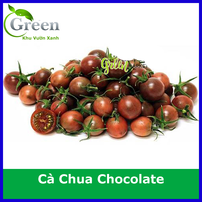 Hạt Giống Cà Chua Chocolate (Gói 20 hạt) Trái Chùm, Sai Trái, Chịu Nhiệt Tốt