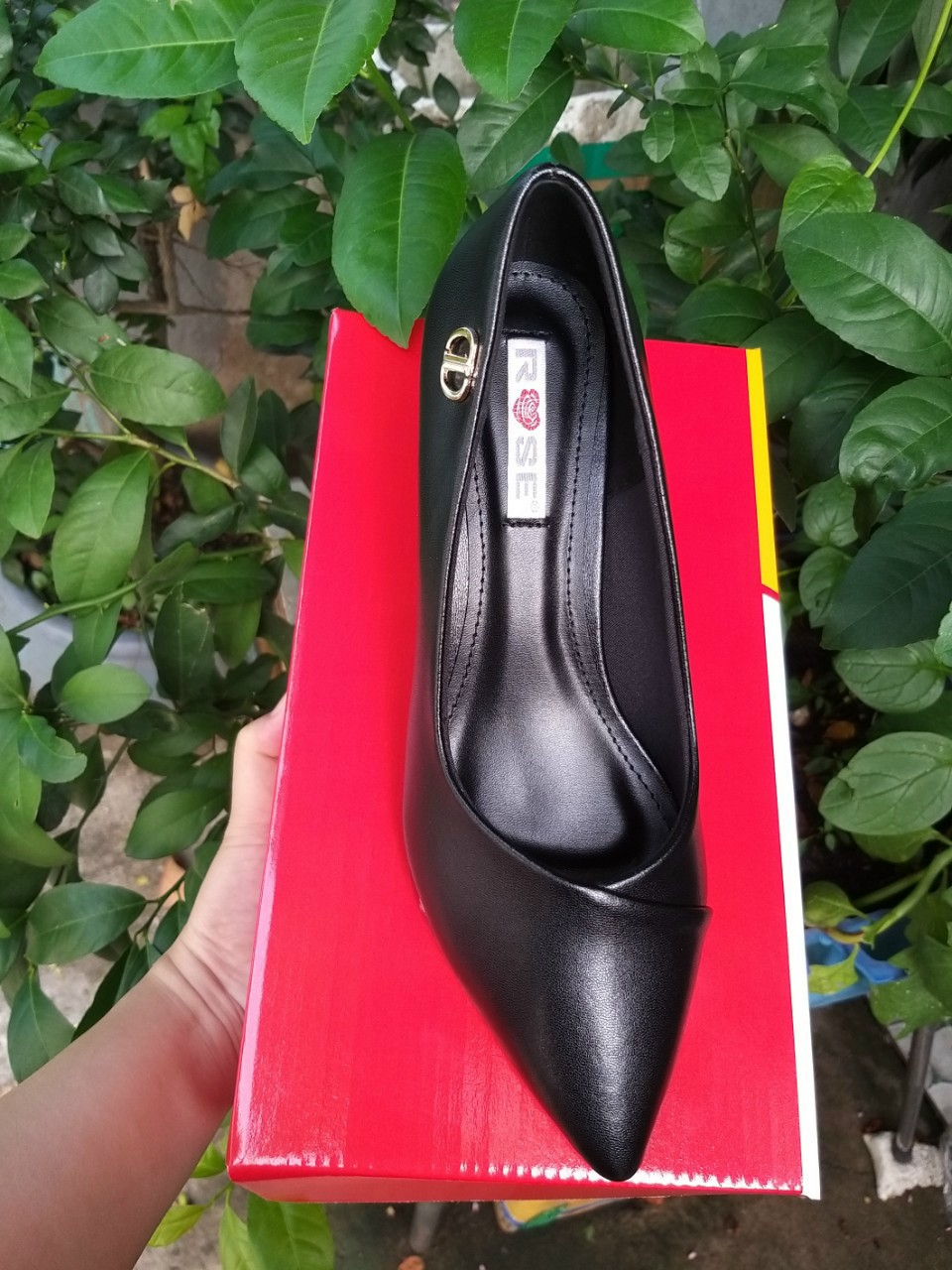 [FreeShip Max] Giày cao gót 6CM - RS140 - Shop Giày Nữ ROSE