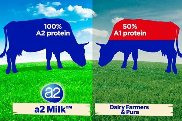 A2 pure cream and fatty milk