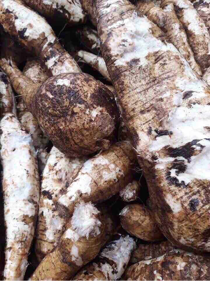1kg bột sắn dây nguyên chất thơm ngon