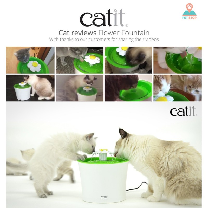 Máy lọc nước vòi hoa Catit cho mèo