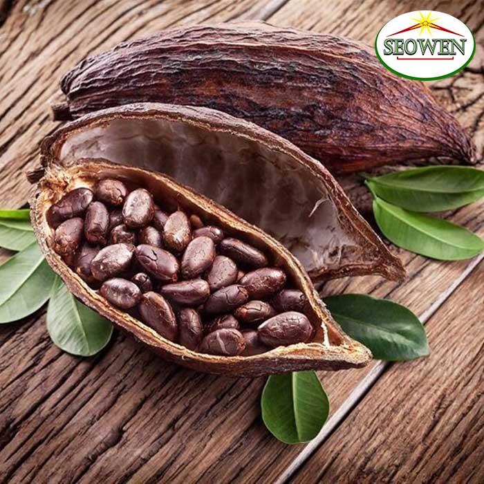 500g Bột ca cao ngọt Malaysia pha uống cực thích
